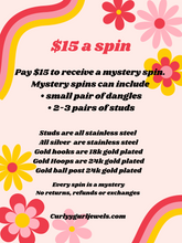 Load image into Gallery viewer, Mystery Spins